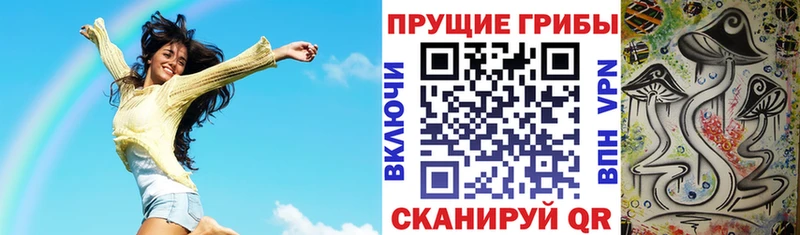 Псилоцибиновые грибы мицелий  купить  цена  Гаджиево 